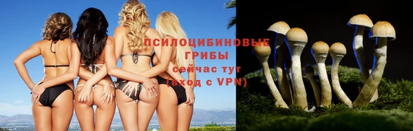 герыч Алексин
